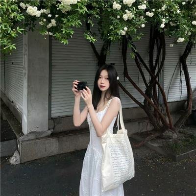 后宫